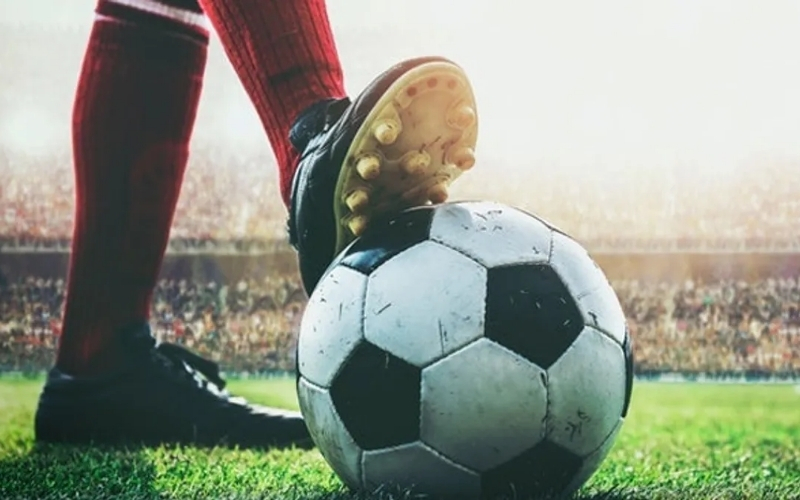 Cách tận dụng AI hiệu quả cho người mới bắt đầu